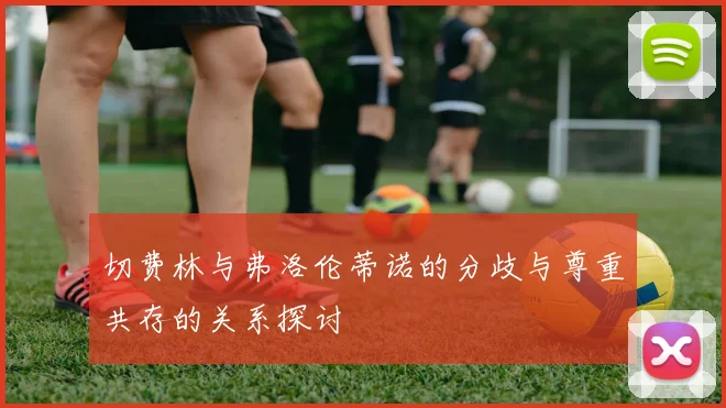 切费林与弗洛伦蒂诺的分歧与尊重共存的关系探讨